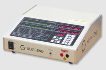 NEPA 21
