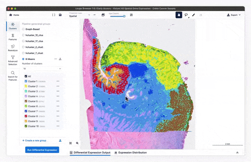 Visium HD workflow GIF